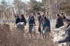  “大愛新區·微愛圓夢——互聯網+學雷鋒志愿服務同城行動”環保行動日活動